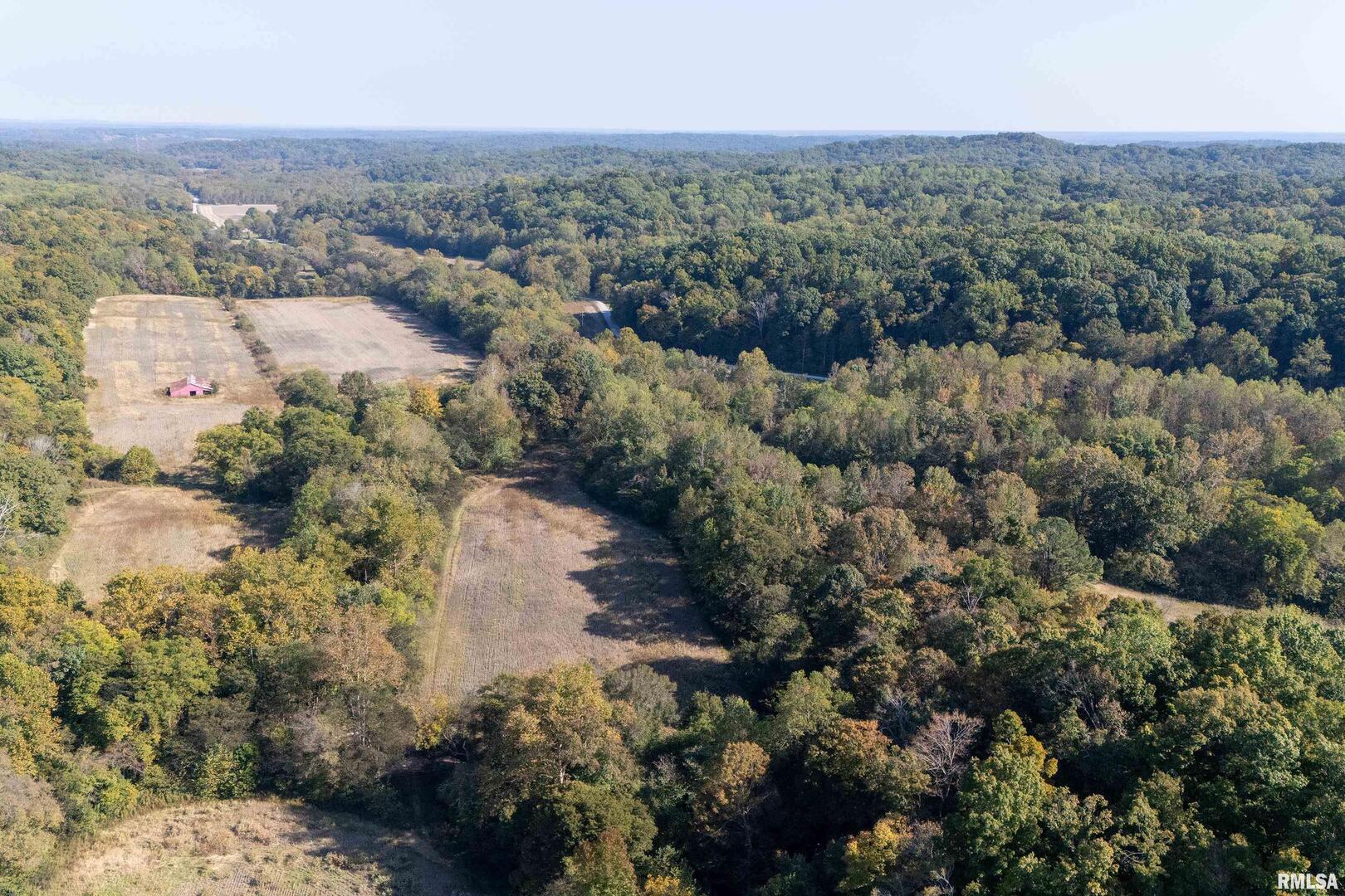 19168 County Line Road Jonesboro, IL 62952 - Photo 40 of 53