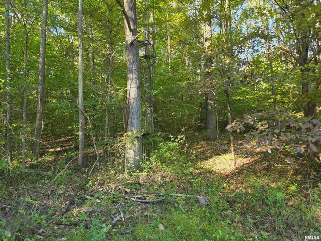 $978,000 | 19168 County Line Road, Jonesboro, IL 62952