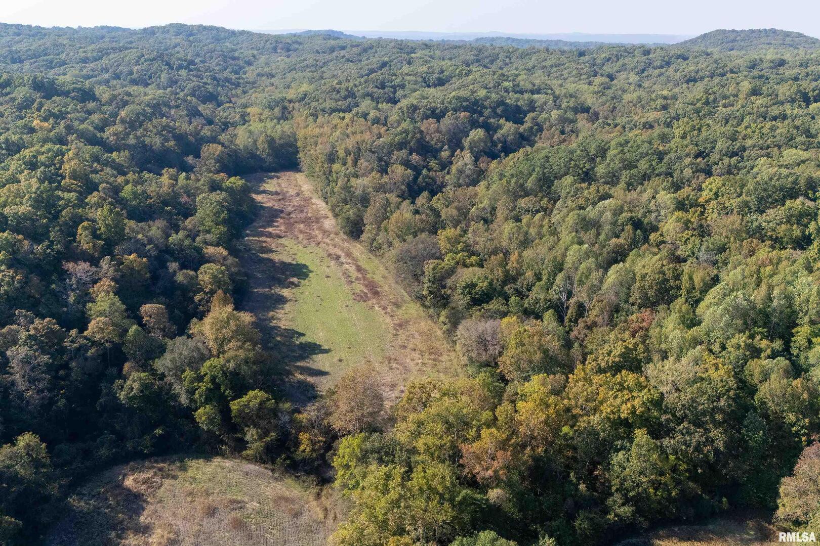 19168 County Line Road Jonesboro, IL 62952 - Photo 42 of 53