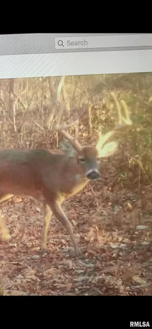 $978,000 | 19168 County Line Road, Jonesboro, IL 62952