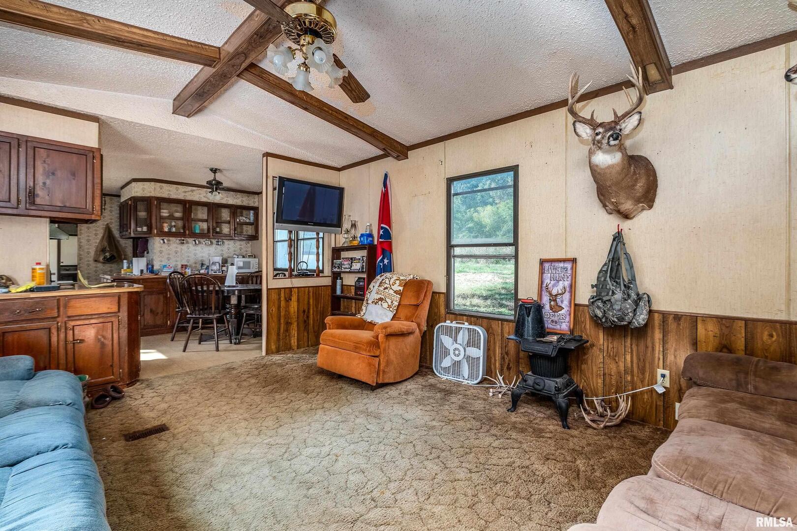 19168 County Line Road Jonesboro, IL 62952 - Photo 50 of 53