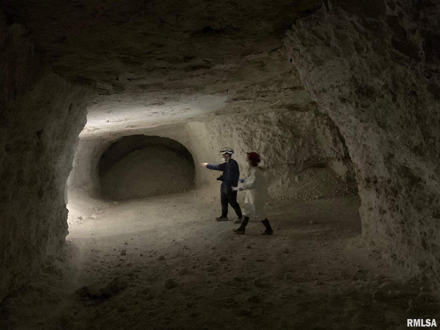 19168 County Line Road Jonesboro, IL 62952 - Photo 7 of 53