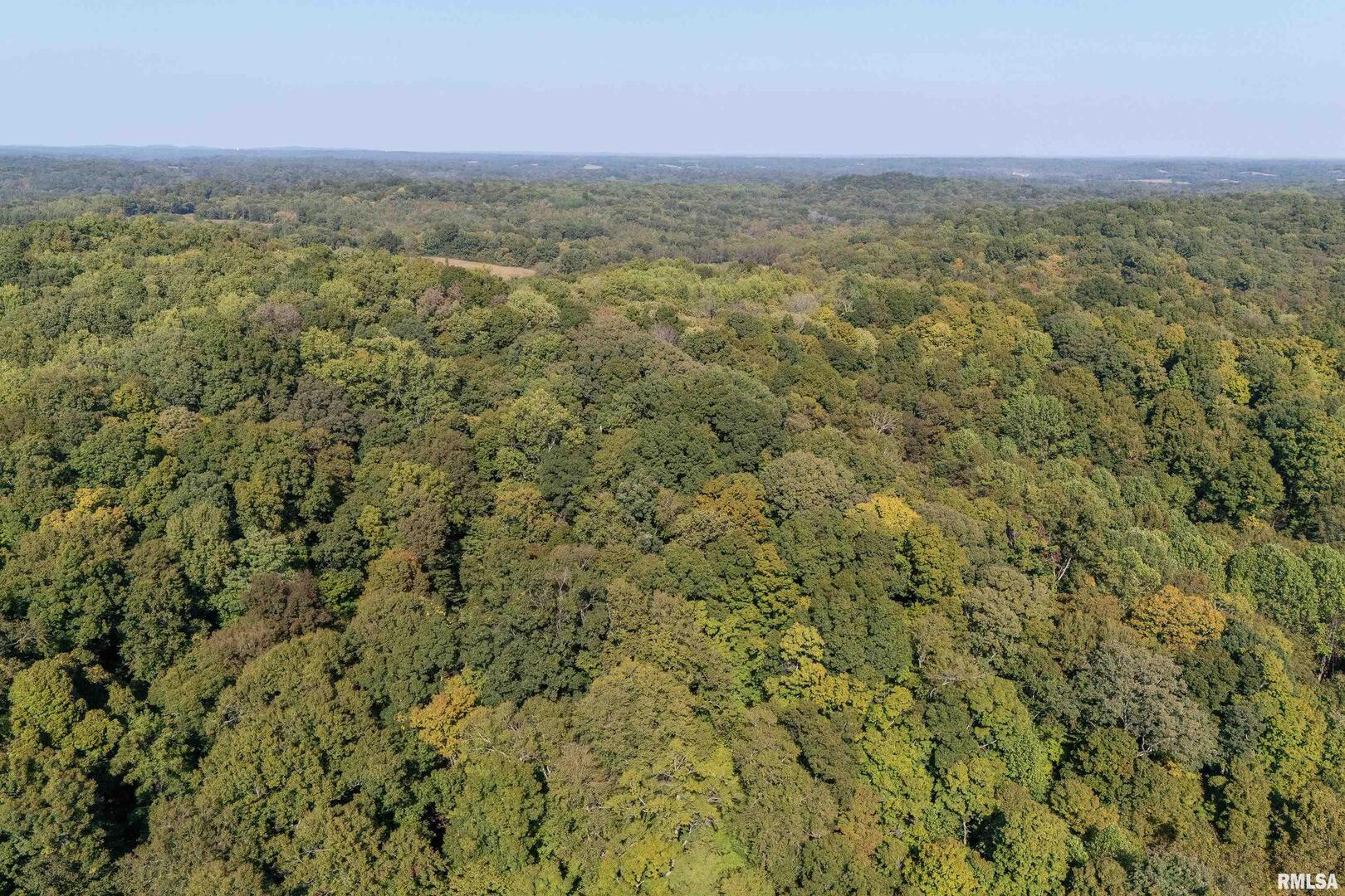 19168 County Line Road Jonesboro, IL 62952 - Photo 10 of 53