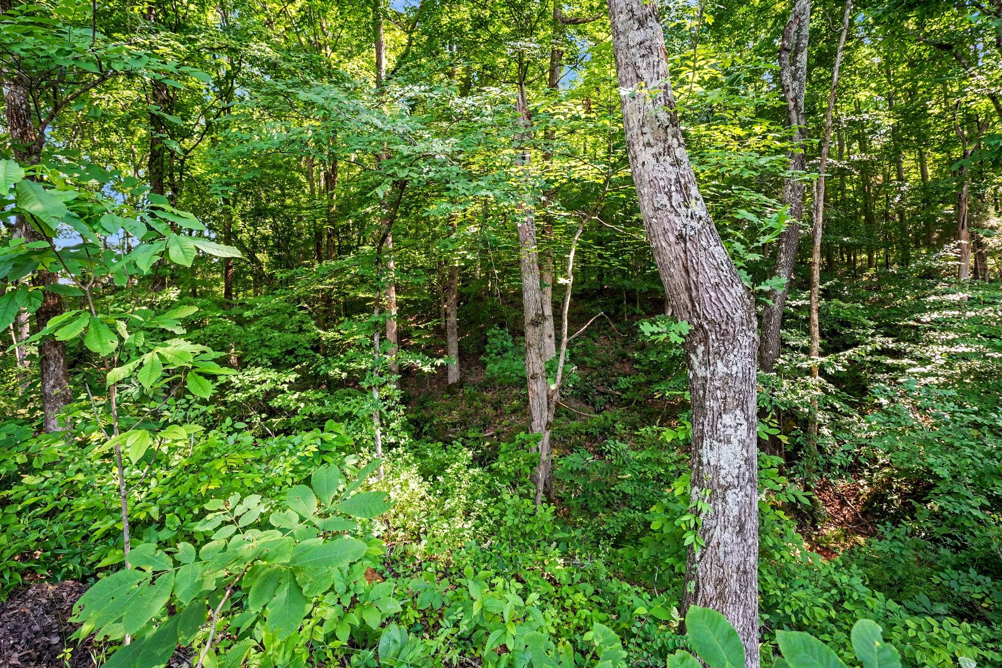 1222 Rooster Rdg Road Joelton, TN 37080 - Photo 24 of 26