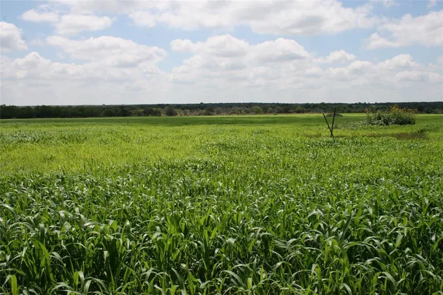 a view of outdoor space with stove and green space