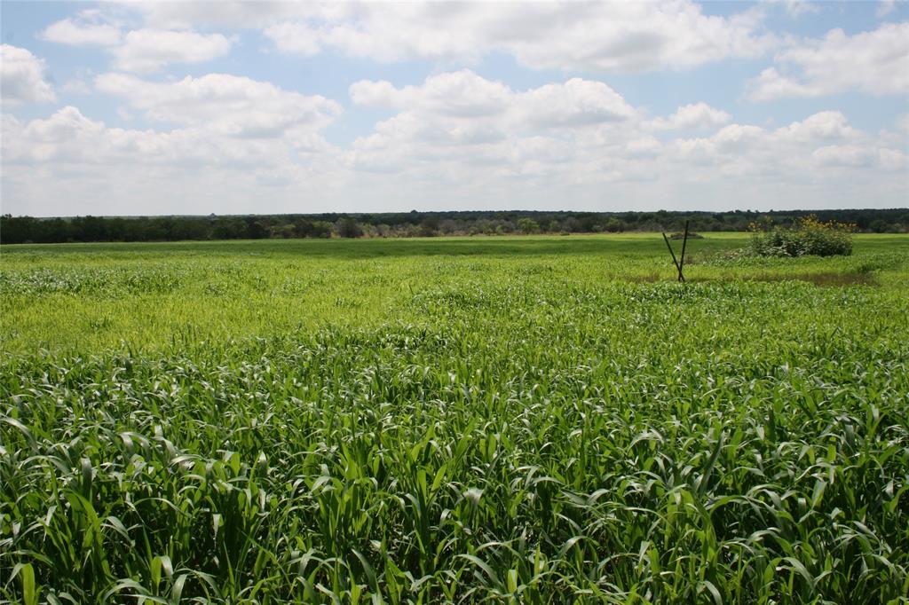 464 Upper Brad Road Strawn, TX 76475 - Photo 12 of 32 a view of outdoor space with stove and green space
