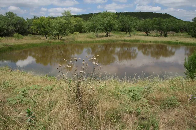a view of a lake with a yard and large trees