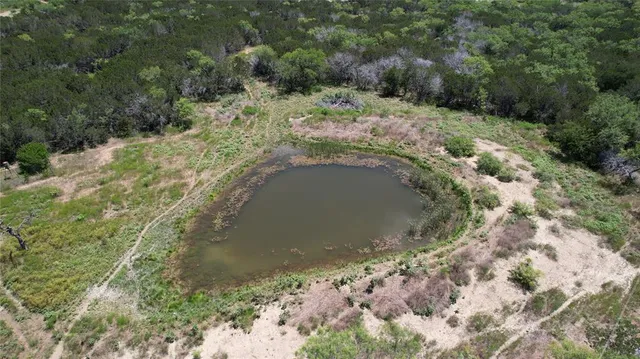 a view of a forest with a yard