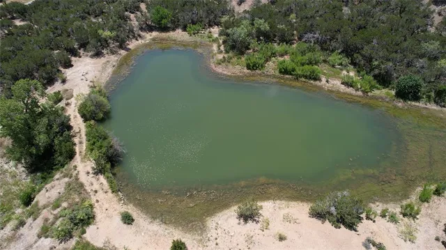 a view of a lake from a yard