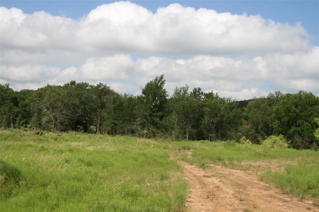 464 Upper Brad Road Strawn, TX 76475 - Photo 5 of 32 a view of a green field with wooden fence
