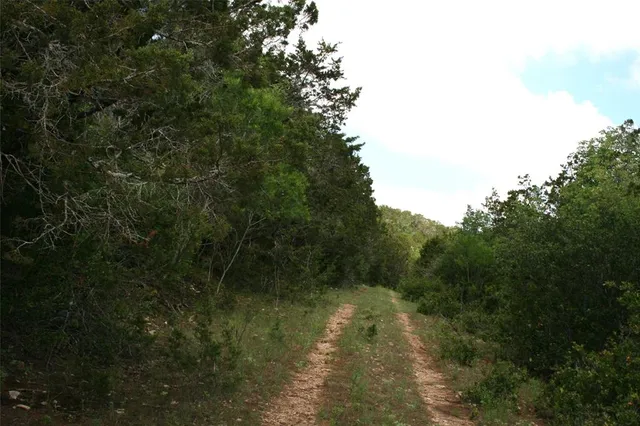 a view of a lake view with lots of trees
