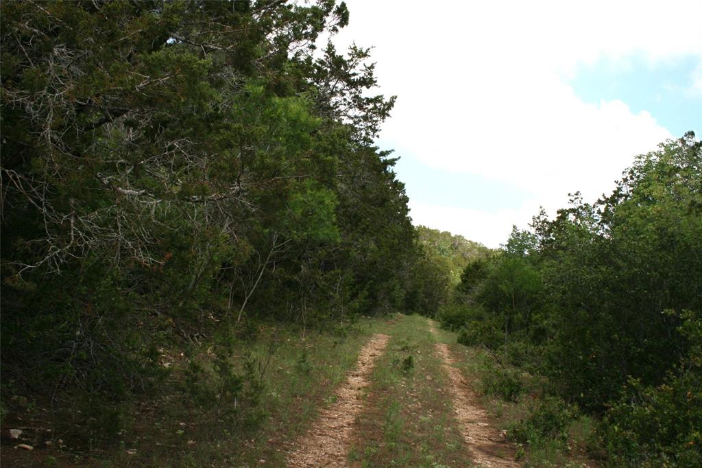 464 Upper Brad Road Strawn, TX 76475 - Photo 7 of 32 a view of a lake view with lots of trees