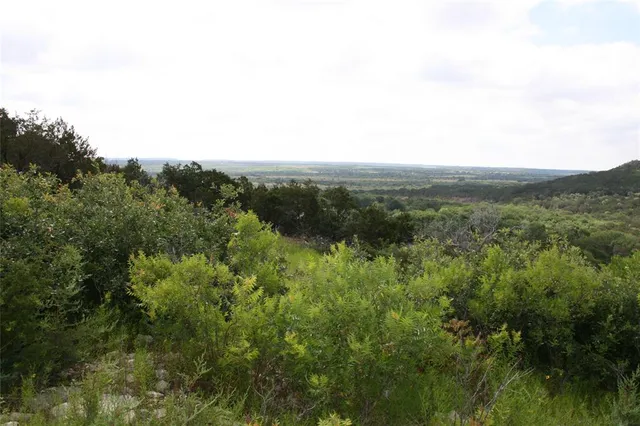 a view of a green field