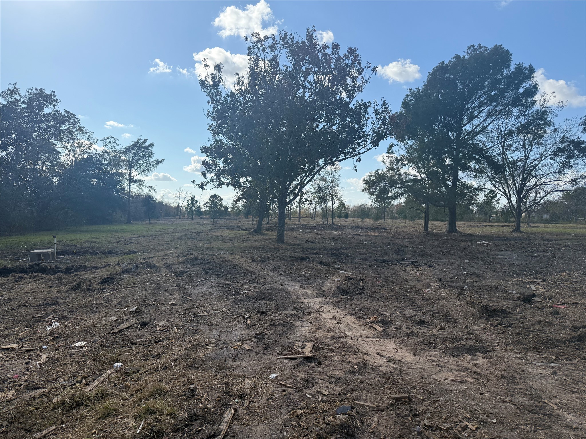 a view of dirt yard with large trees