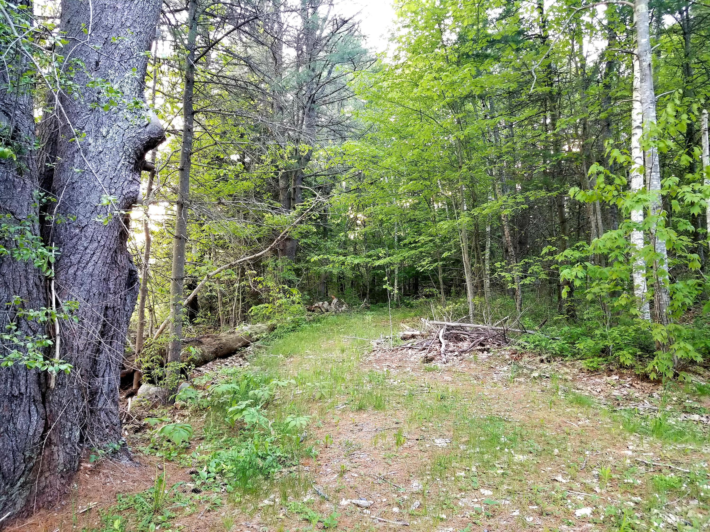 0 Gardiner Road Wiscasset, ME 04578 - Photo 8 of 8 20190605_202908