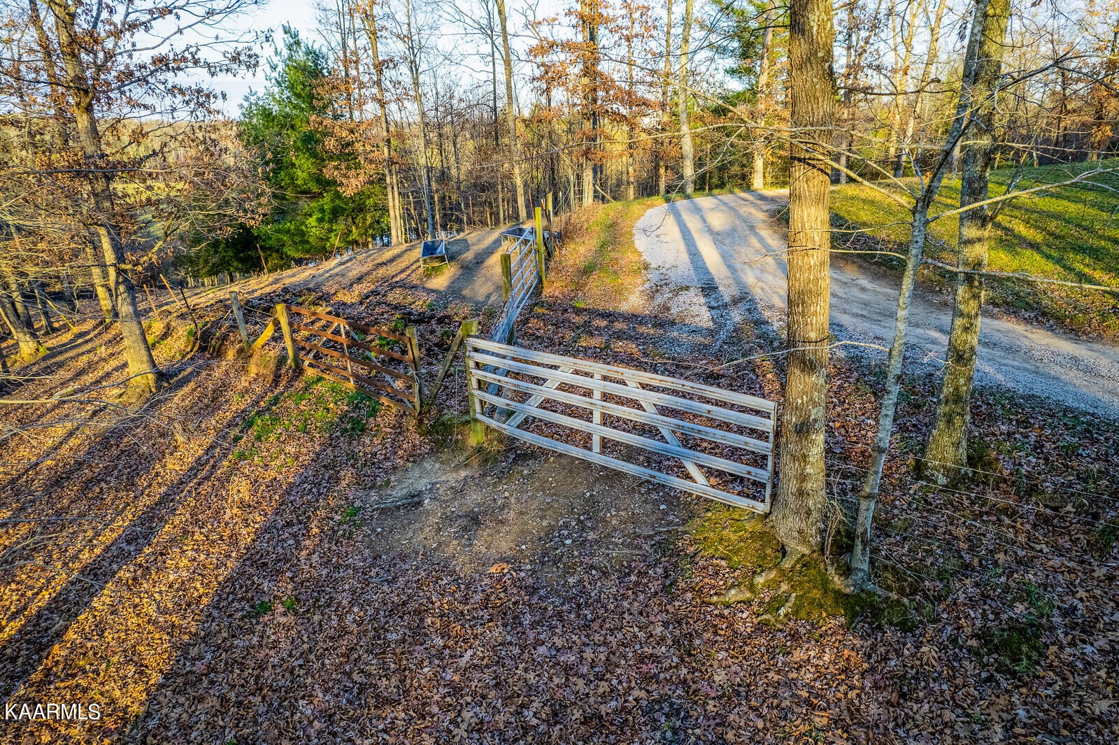 258 Peters Ford Road Sunbright, TN 37872 - Photo 38 of 47 Gallery Image 38