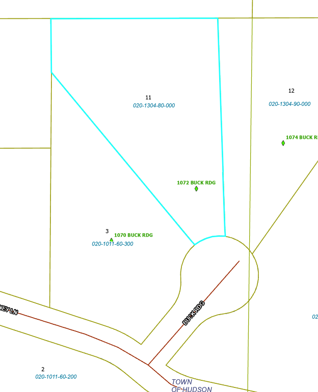 1072 Buck Ridge Hudson, WI 54016 - Photo 24 of 31