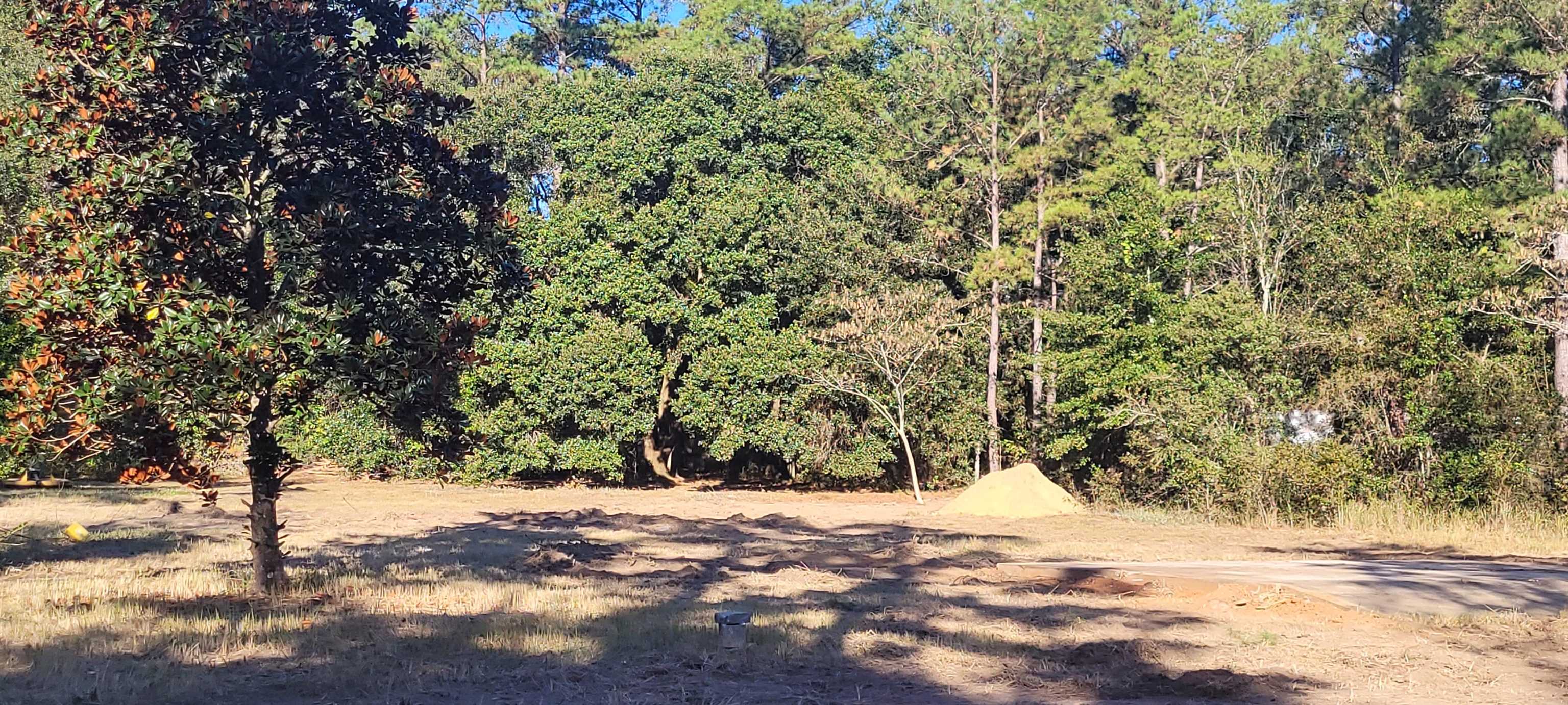 15239 Styx River Road Stapleton, AL 36578 - Photo 3 of 5