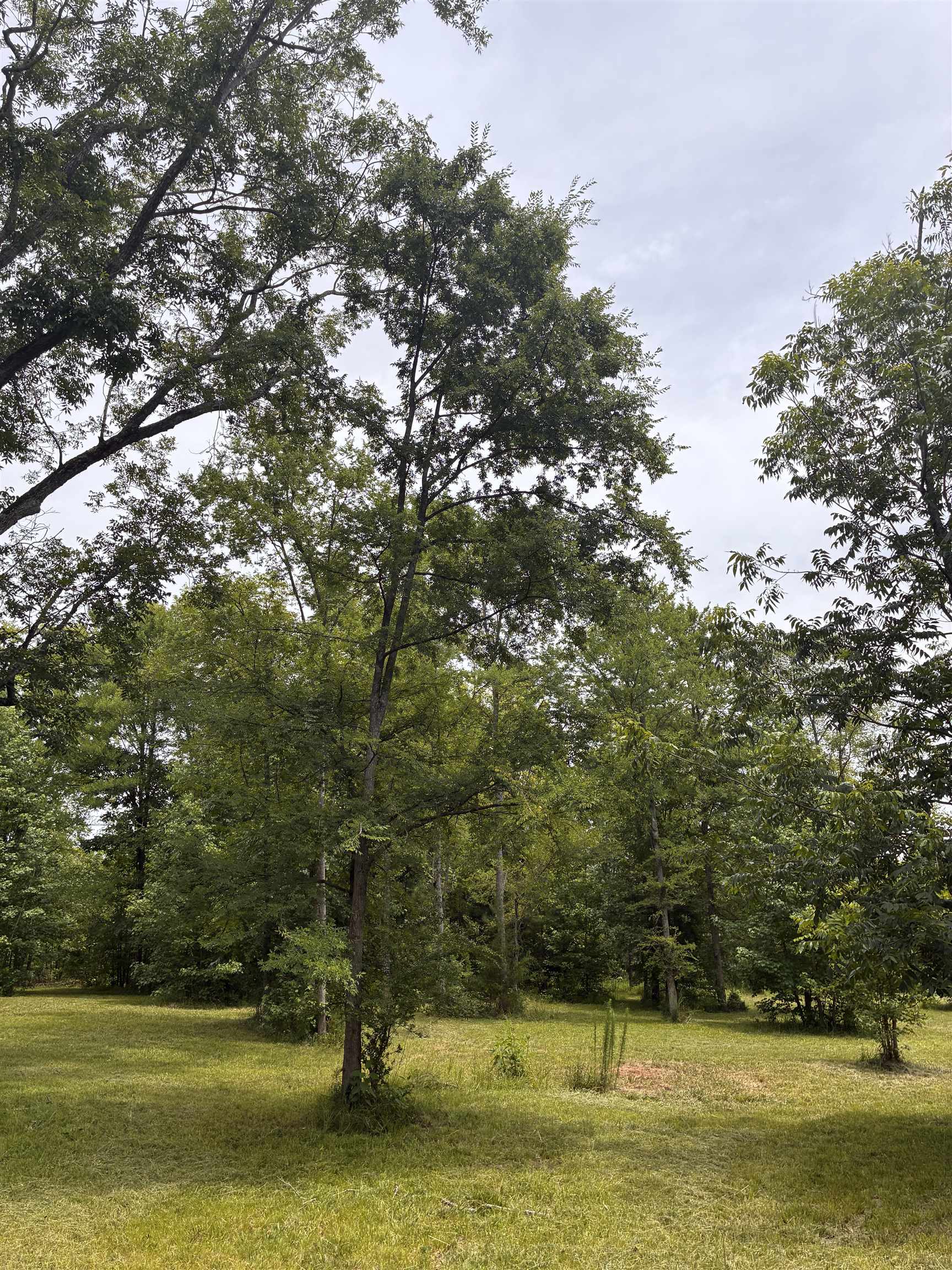 Lot 1 State Rd S-11-54 Gaffney, SC 29340 - Photo 16 of 19