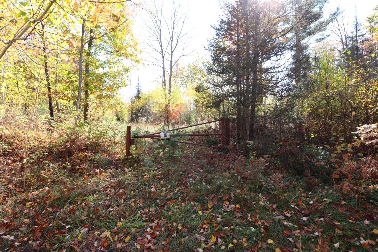 Three Reed Road Three Lakes, WI 54562 - Photo 26 of 28 Gallery Image 26