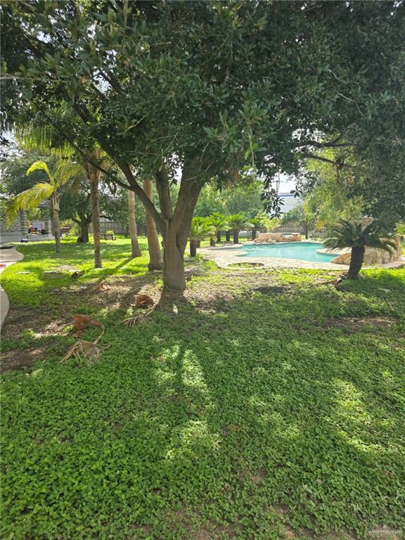 2210 West Monte Cristo Road Edinburg, TX 78541 - Photo 9 of 11 a view of field with large trees