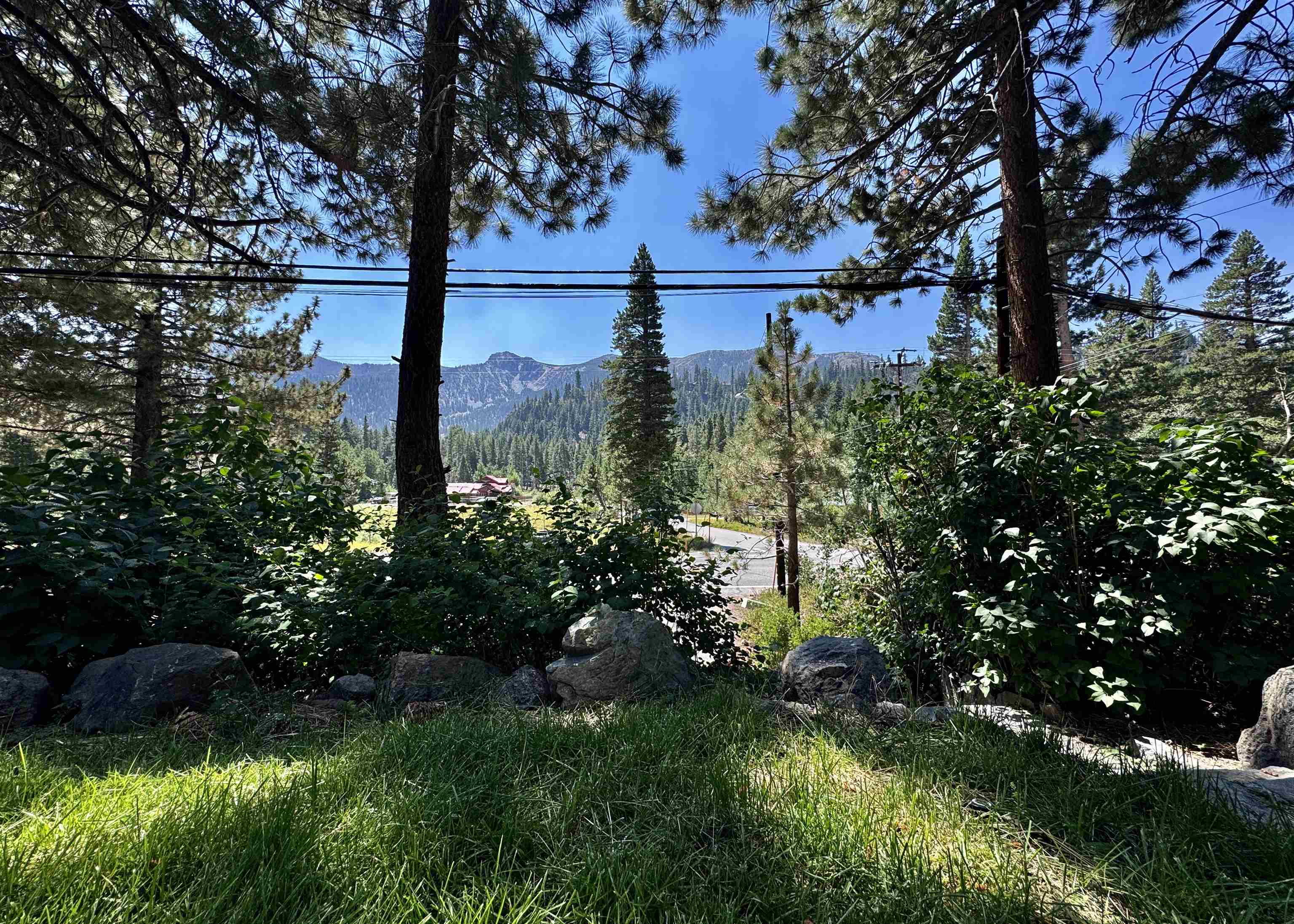 2030 Old Mammoth Road Mammoth Lakes, CA 93546 - Photo 3 of 46 a view of a garden