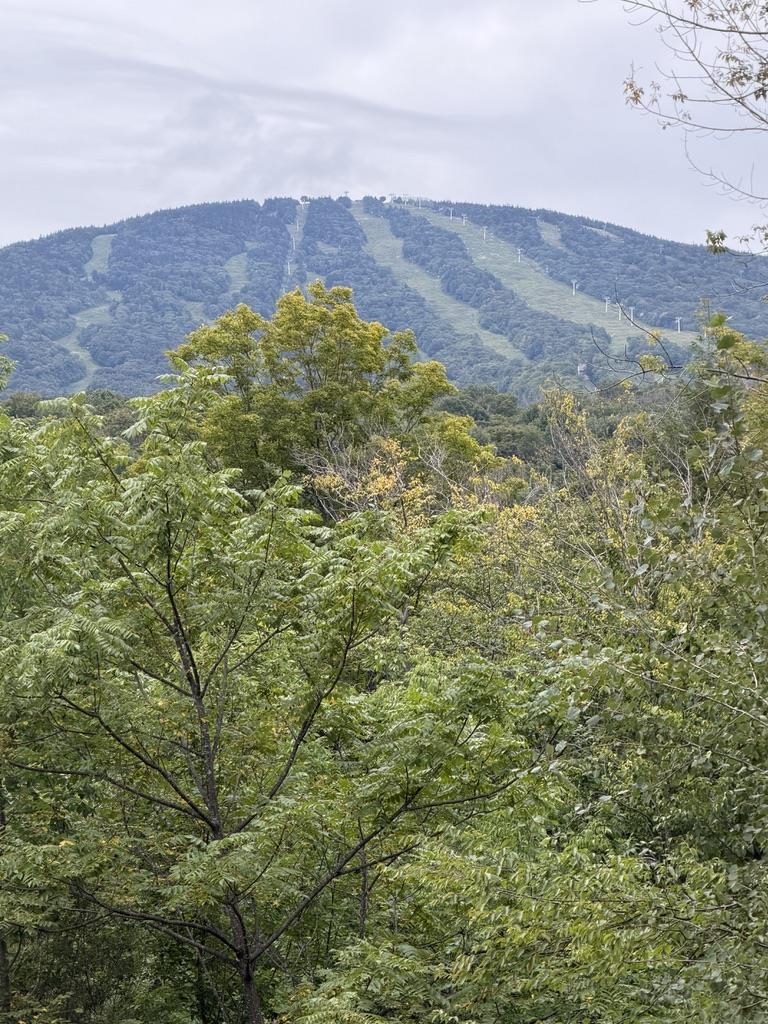 G6 Cobble Ridge Road, Unit G6 Winhall, VT 05340 - Photo 4 of 12 Gallery Image 4