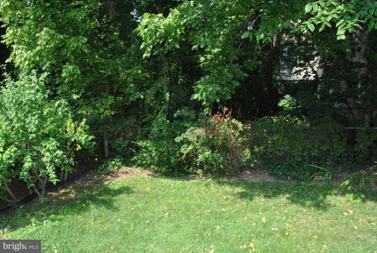 2224 49th Street Northwest Washington, DC 20007 - Photo 17 of 21 Backyard