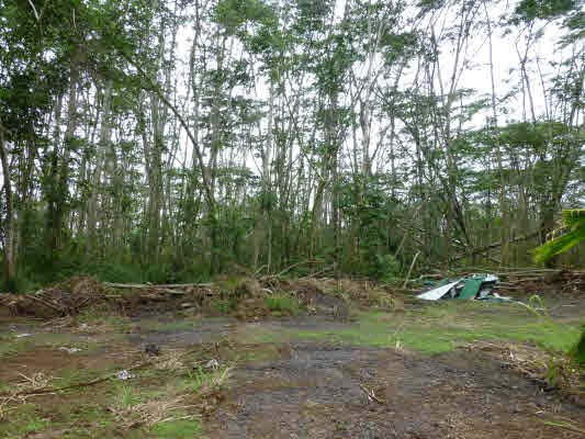 294 Paradise Road Pahoa, HI 96778 - Photo 1 of 1 Gallery Image 1
