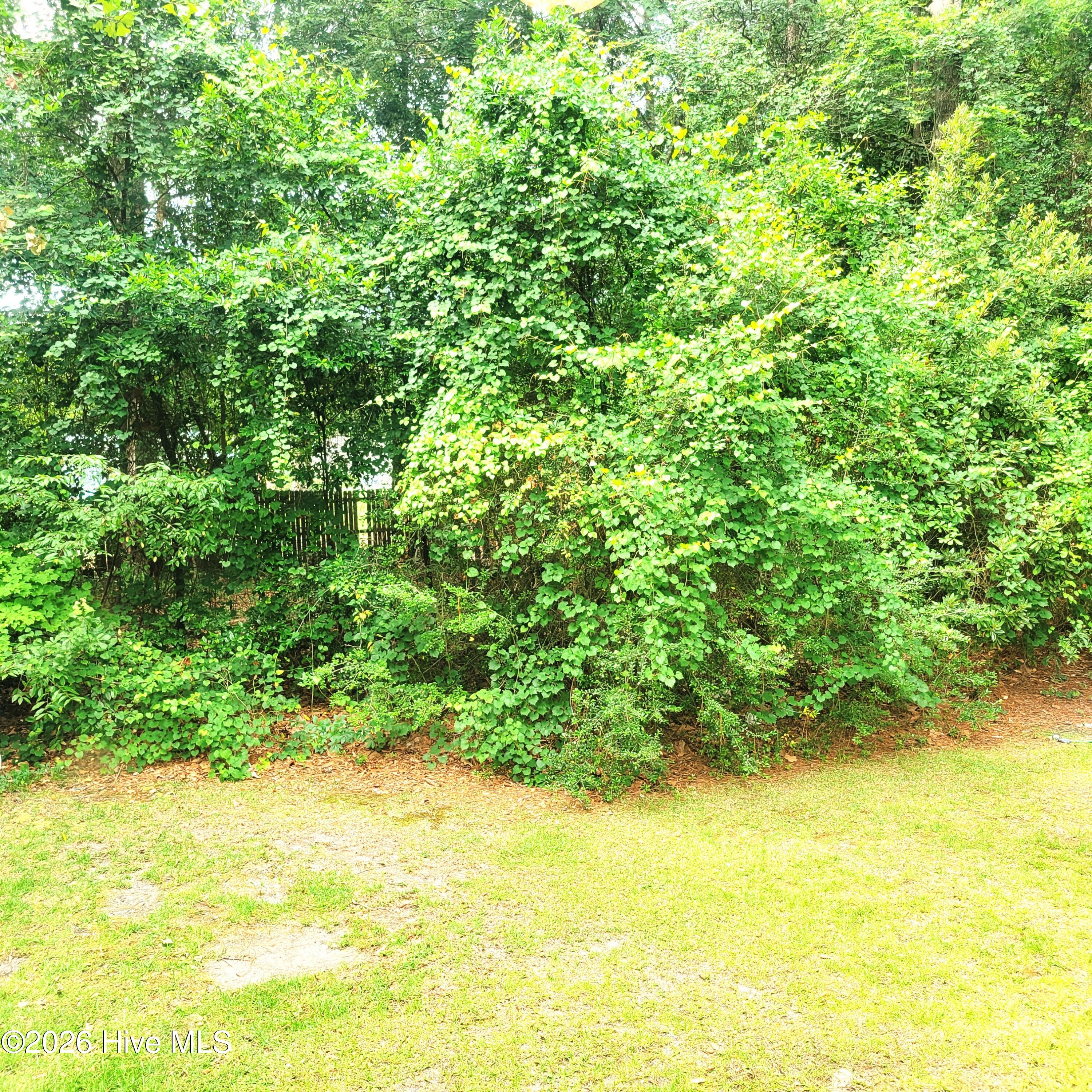 607 Longleaf Road, Unit B Aberdeen, NC 28315 - Photo 23 of 23