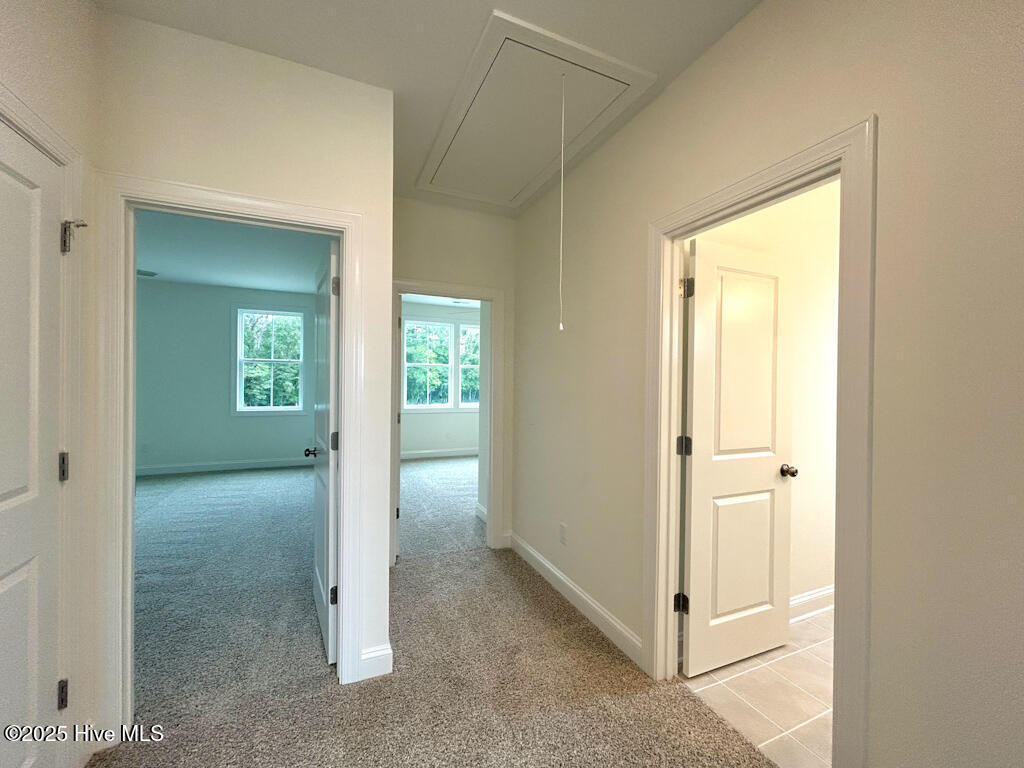 818 Tupelo Tree Drive Hubert, NC 28539 - Photo 55 of 102 SIMILAR PHOTO