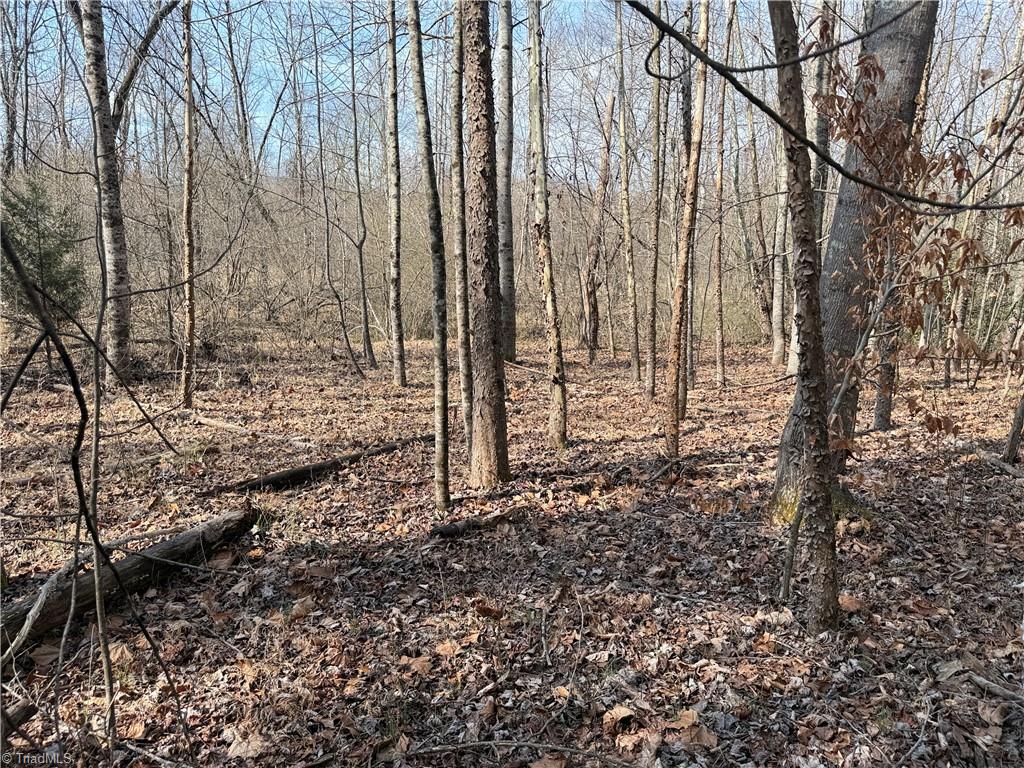 1200 Purcell Road Reidsville, NC 27320 - Photo 33 of 50