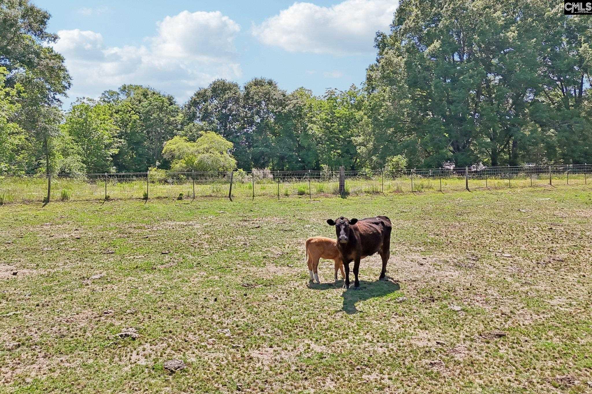 274 State Rd S-36-61 Pomaria, SC 29126 - Photo 44 of 59