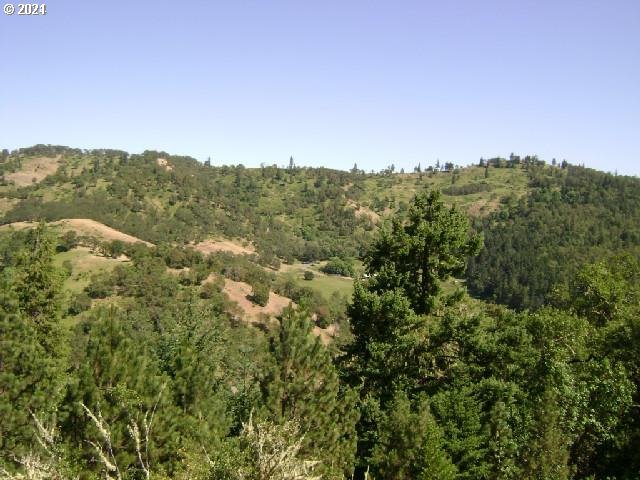 0 Northeast Newton Creek Road Roseburg, OR 97470 - Photo 2 of 9 a view of a city with lush green forest