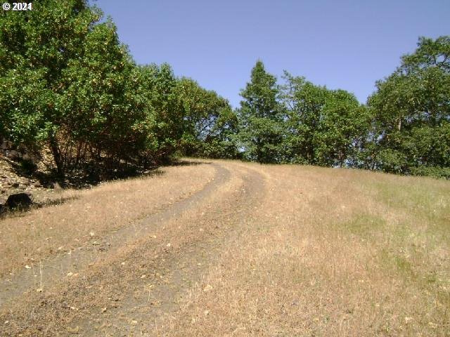 0 Northeast Newton Creek Road Roseburg, OR 97470 - Photo 4 of 9 a view of a yard with a tree