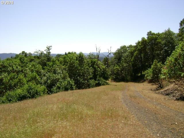 0 Northeast Newton Creek Road Roseburg, OR 97470 - Photo 5 of 9 a view of a field with trees in the background