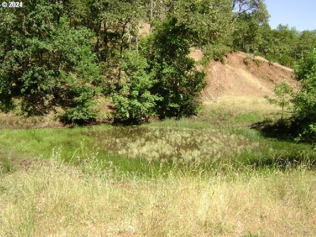 0 Northeast Newton Creek Road Roseburg, OR 97470 - Photo 7 of 9 a view of beach and small yard