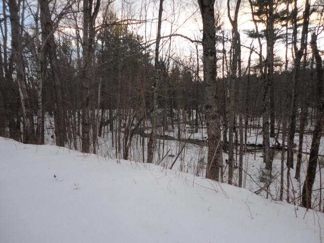 48 Old Lewiston Road Monmouth, ME 04265 - Photo 2 of 22 RIGHT SIDE YARD IS A STREAM