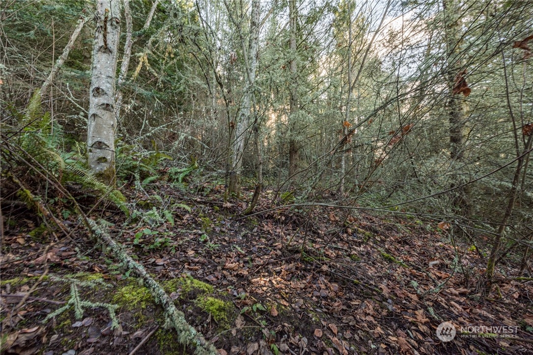 2 Owls Nest Road Sequim, WA 98382 - Photo 29 of 35