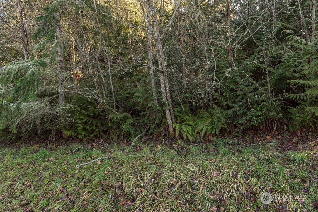 2 Owls Nest Road Sequim, WA 98382 - Photo 33 of 35