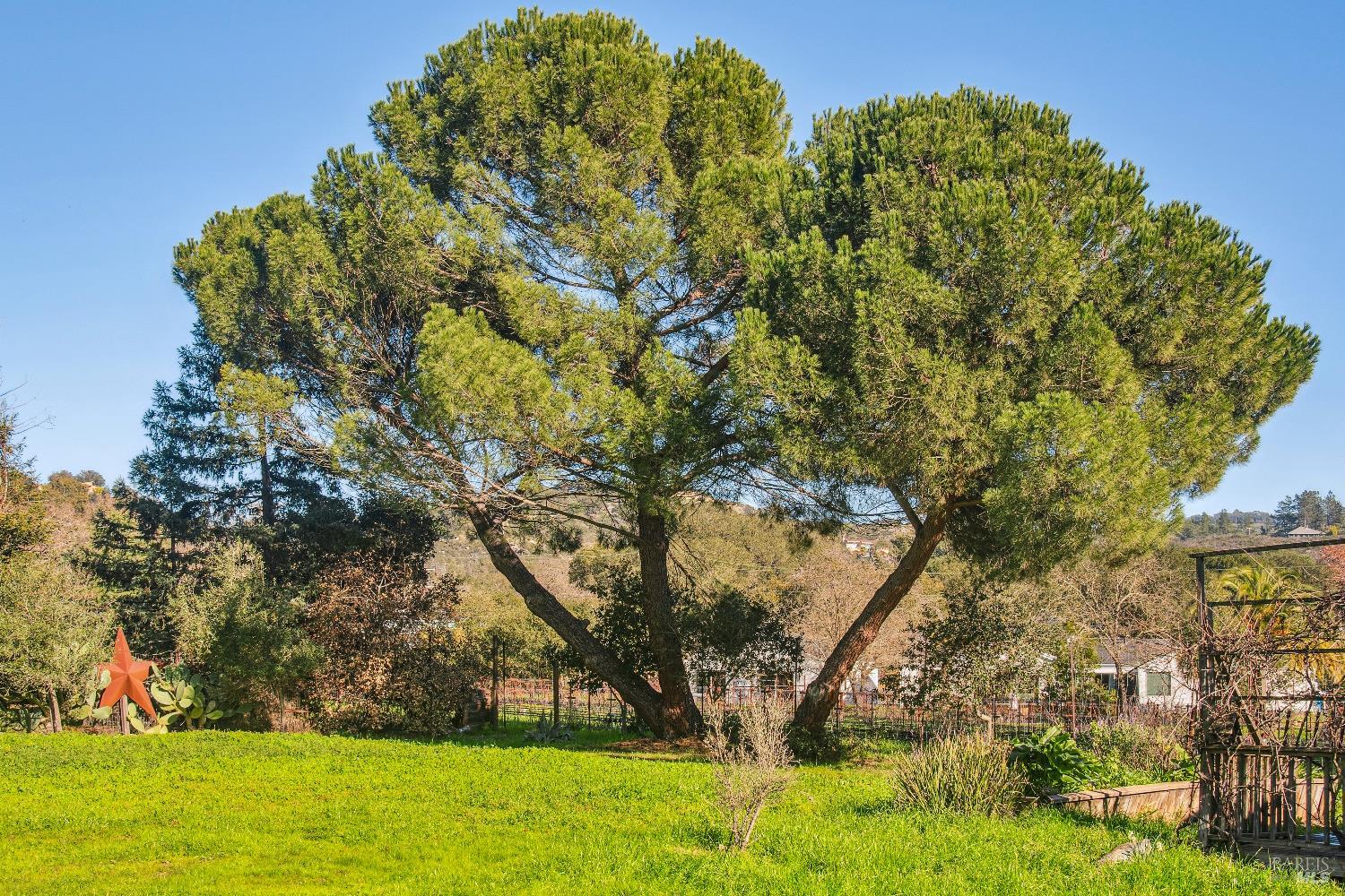 1795 Lovall Valley Road Sonoma, CA 95476 - Photo 37 of 40