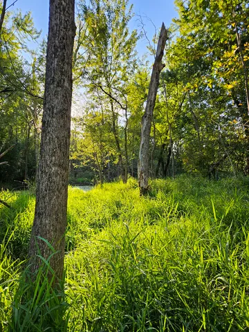 a view of swimming pool from a garden