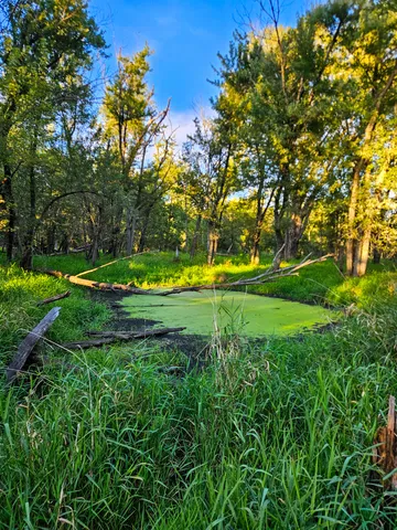 a view of a golf course with a garden