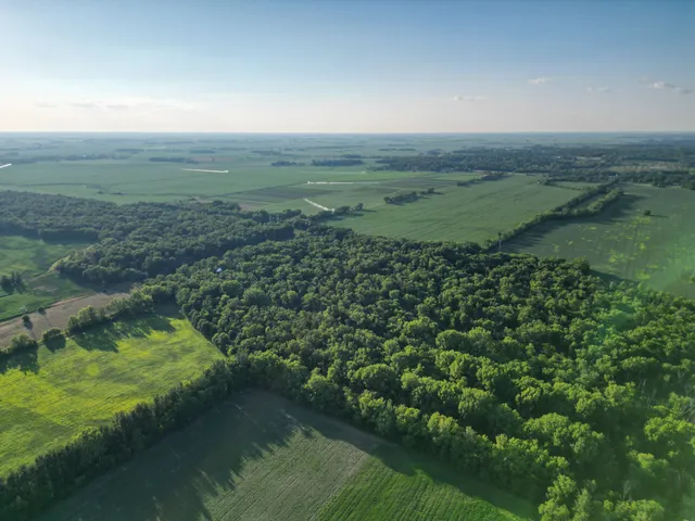 a view of yard with ocean view