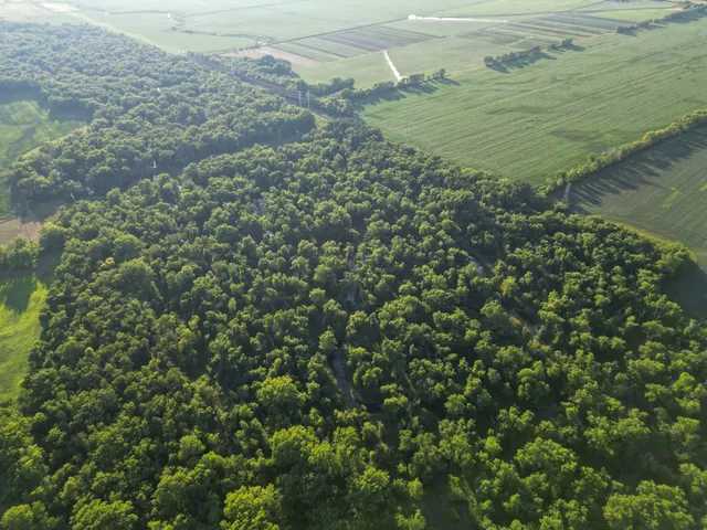 a view of a field with an ocean view