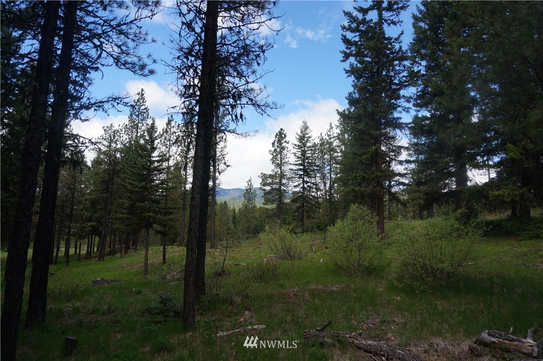 17 Wagon Wheel Road Cle Elum, WA 98922 - Photo 2 of 14 Gallery Image 2