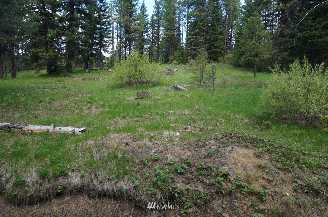 17 Wagon Wheel Road Cle Elum, WA 98922 - Photo 12 of 14 Gallery Image 12