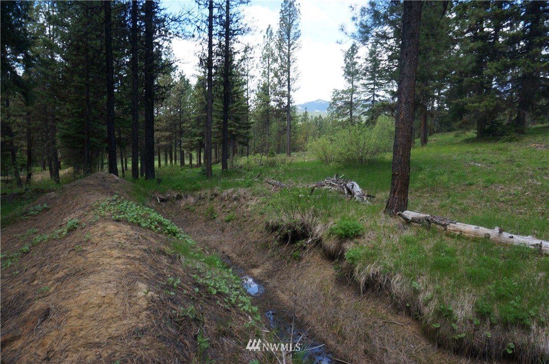 17 Wagon Wheel Road Cle Elum, WA 98922 - Photo 13 of 14 Gallery Image 13