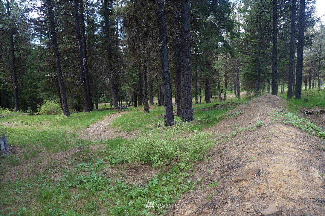 17 Wagon Wheel Road Cle Elum, WA 98922 - Photo 14 of 14 Gallery Image 14