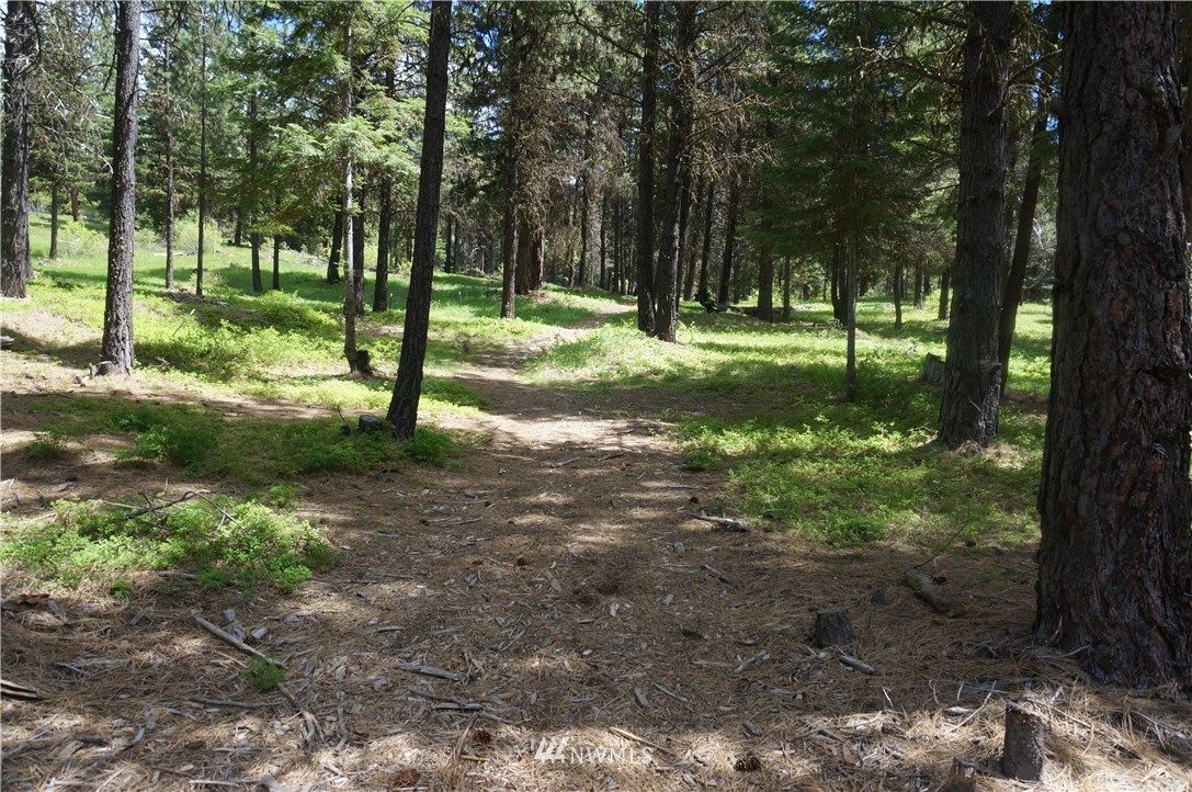 17 Wagon Wheel Road Cle Elum, WA 98922 - Photo 3 of 14 Gallery Image 3